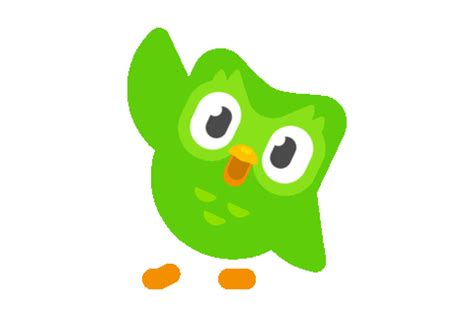 duolingo gif|Iba pa.